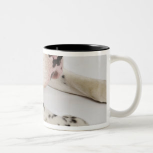 Harlequin Great Dane puppy sleeping on mother Two-Tone Coffee Mug