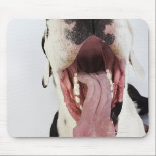 Harlequin Great Dane with open mouth, close-up, Mouse Mat