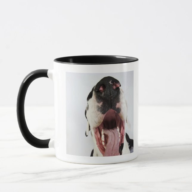 Harlequin Great Dane with open mouth, close-up, Mug (Left)