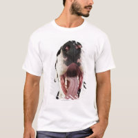 Harlequin Great Dane with open mouth, close-up,