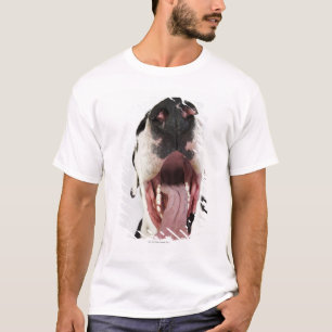 Harlequin Great Dane with open mouth, close-up, T-Shirt