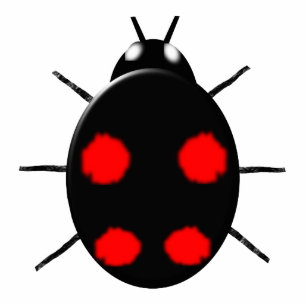 Harlequin Ladybird Photo Sculpture