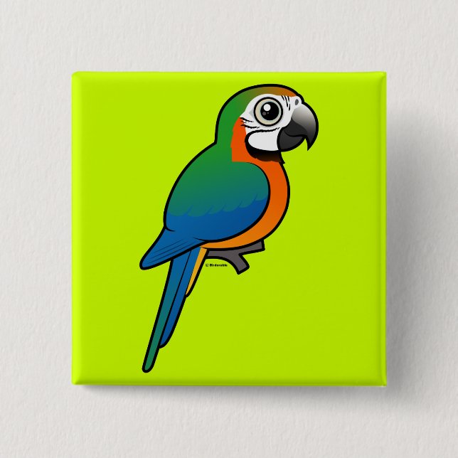 Harlequin Macaw 15 Cm Square Badge (Front)