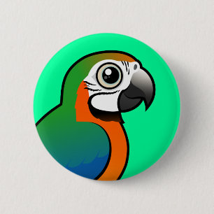 Harlequin Macaw 6 Cm Round Badge