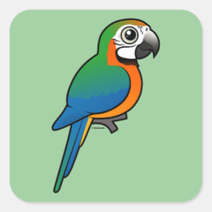 Harlequin Macaw Square Sticker