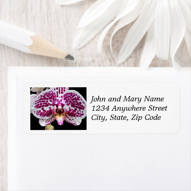 Harlequin Moth Orchid Floral Return Address (Insitu)