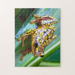 Harlequin Poison Dart Frog Jigsaw Puzzle