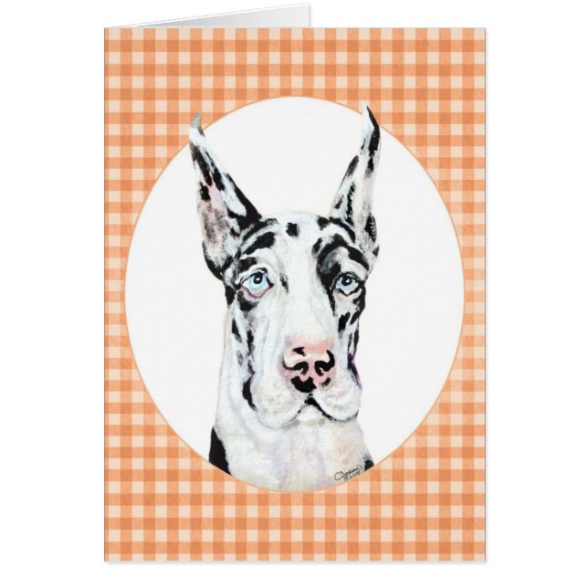 Harlequin Pup Peach (Front)