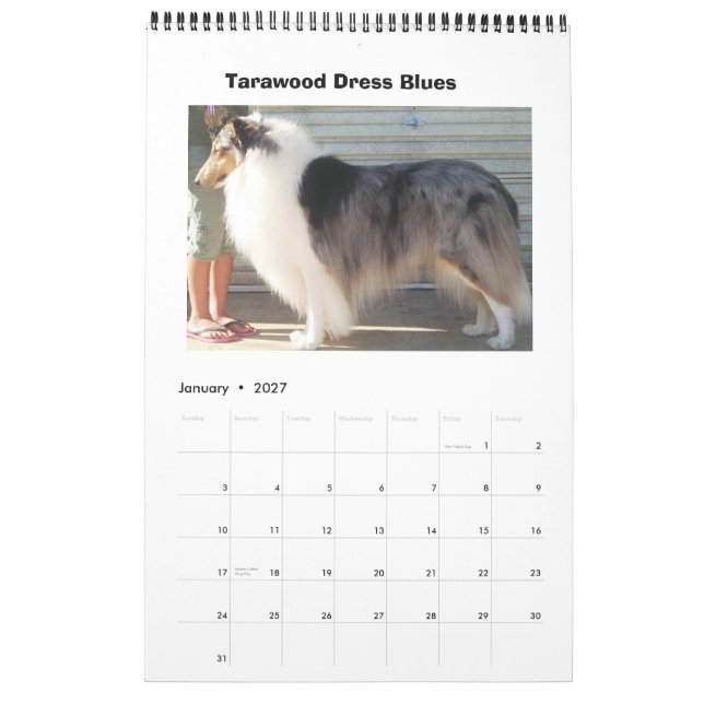 Harley Collies Calendar (Jan 2027)