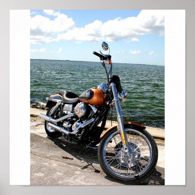 Harley Pics 040 Poster (Front)