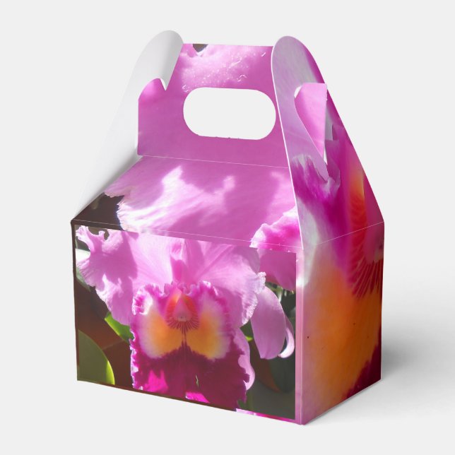 Harlinde Favour Box (Back Side)