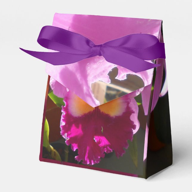 Harlinde Favour Box (Front Side)