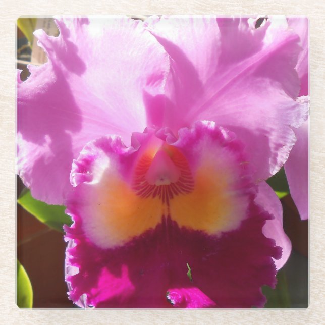 Harlinde Glass Coaster (Front)