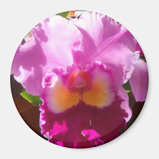 Harlinde Magnet (Front)