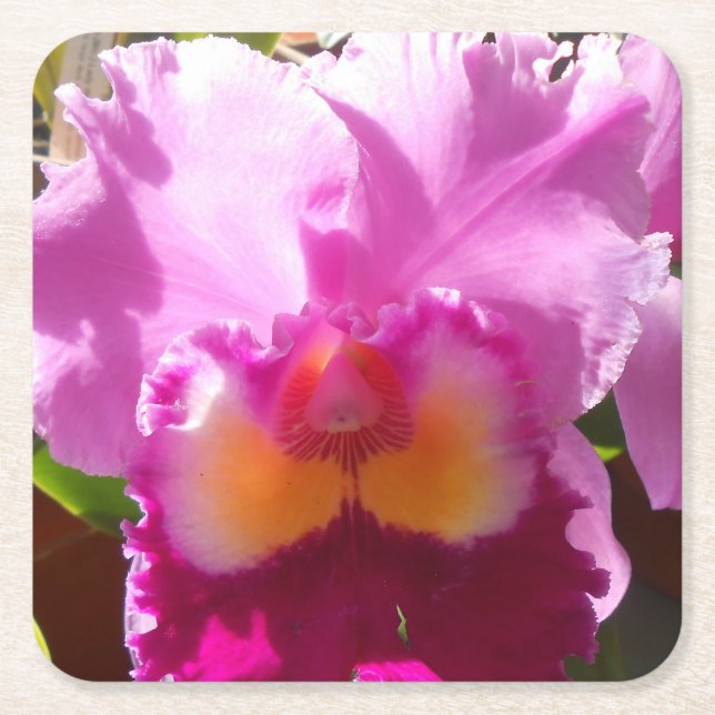 Harlinde Square Paper Coaster (Front)