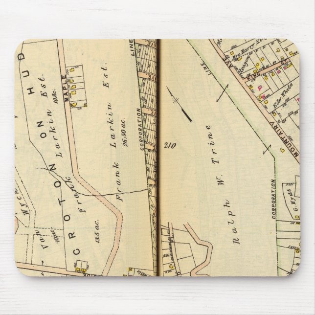 Harmon Park, New York Mouse Mat (Front)