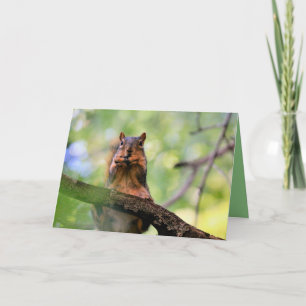 Harmonica squirrel card