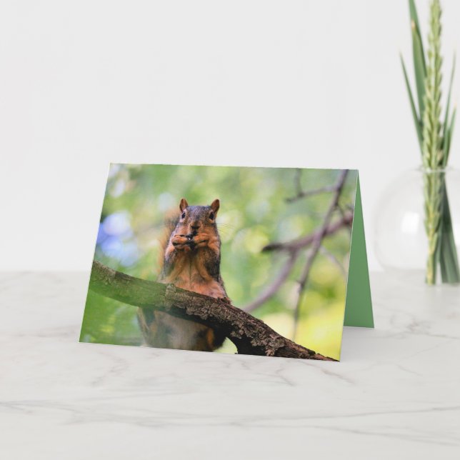 Harmonica squirrel card (Front)