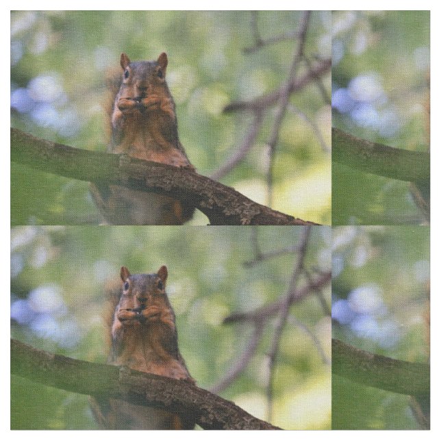 Harmonica squirrel fabric (Close Up)