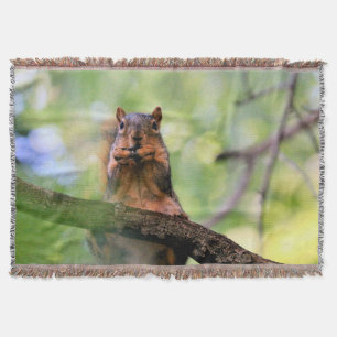 Harmonica squirrel throw blanket