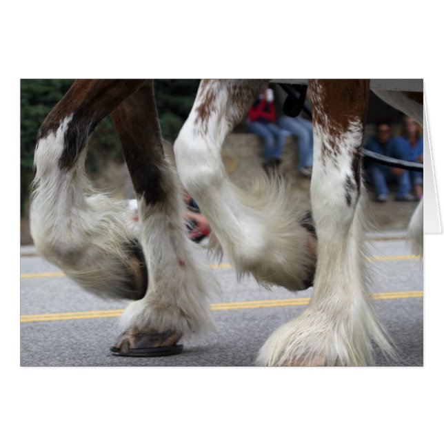 Harmony (Front Horizontal)