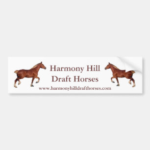 Harmony Hill Draught   Horses Bumper Sticker