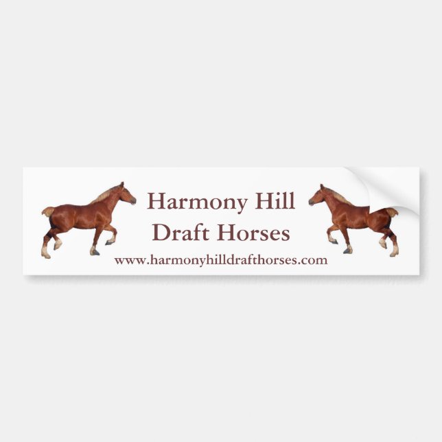 Harmony Hill Draught   Horses Bumper Sticker (Front)