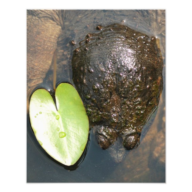 Harmony Photo Print (Front)