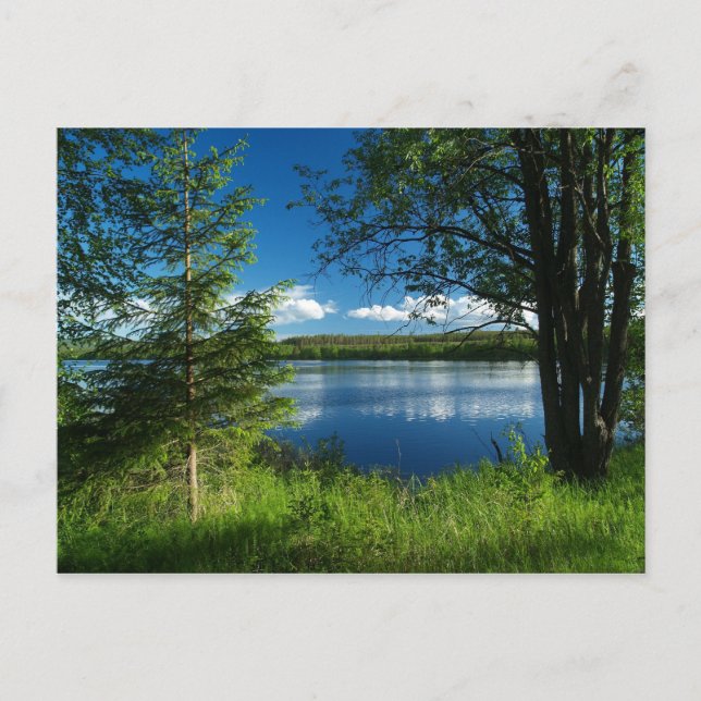 Harmony Postcard (Front)