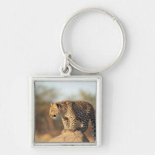 Harnas Wildlife Sanctuary, Namibia Key Ring