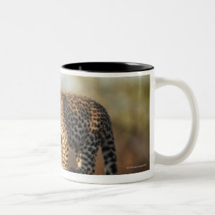 Harnas Wildlife Sanctuary, Namibia Two-Tone Coffee Mug