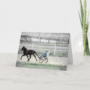 Harness Racing Card