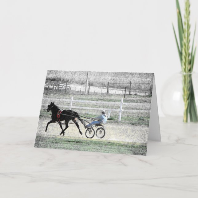 Harness Racing Card (Front)