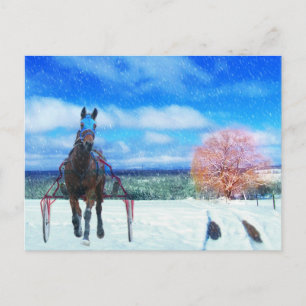 Harness Racing Horse Holiday Card