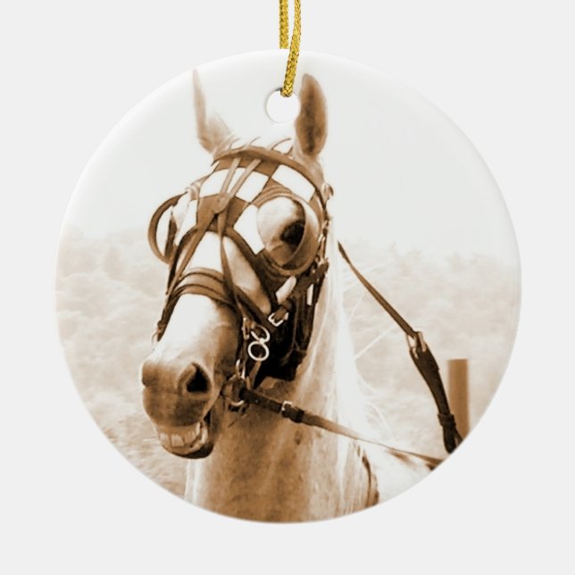 Harness Racing ornament (Front)