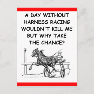 harness racing postcard