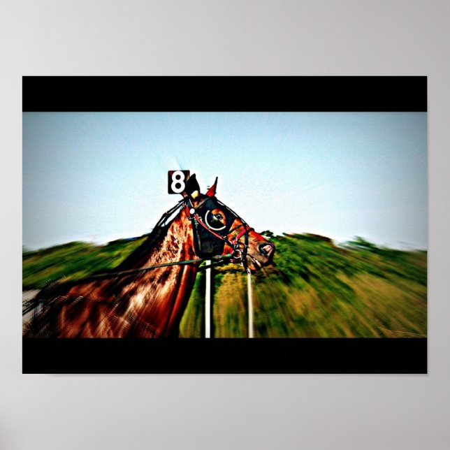 Harness Racing Poster (Front)