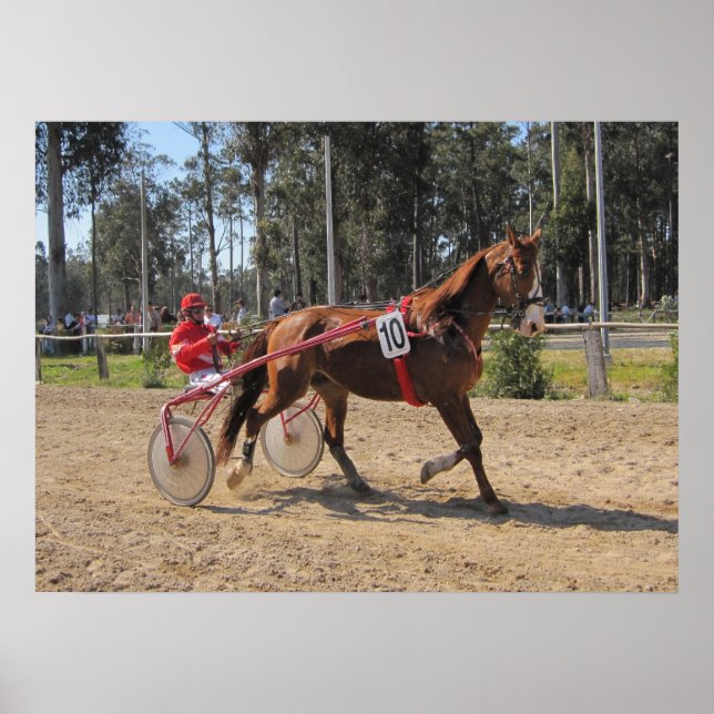 Harness racing Print (Front)