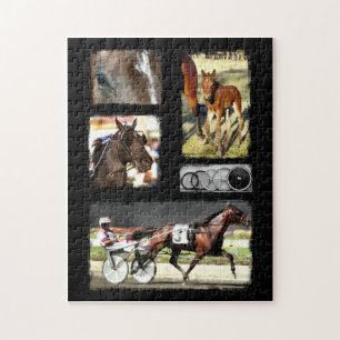 Harness Racing Sport Jigsaw Puzzle