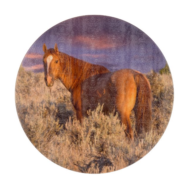 Harney County Wild horse stands alert Cutting Board (Front)