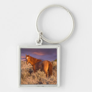 Harney County Wild horse stands alert Key Ring