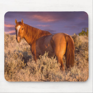 Harney County Wild horse stands alert Mouse Mat
