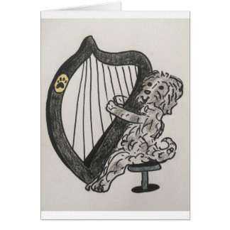 Harp puppy