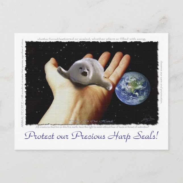 HARP SEAL Earth Day Postcards (Front)