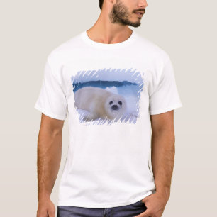 Harp Seal North America, Canada, Quebec T-Shirt
