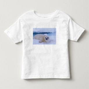Harp Seal North America, Canada, Quebec Toddler T-Shirt