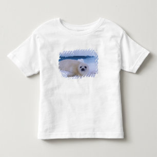 Harp Seal North America, Canada, Quebec Toddler T-Shirt