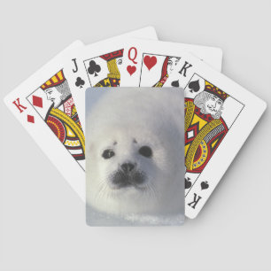 Harp seal Phoca groenlandica) A week-old harp Playing Cards