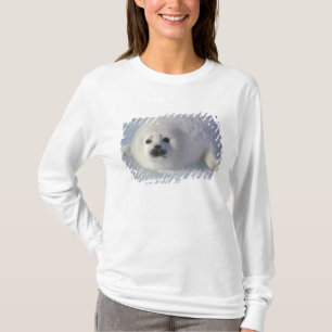 Harp seal Phoca groenlandica) A week-old harp T-Shirt