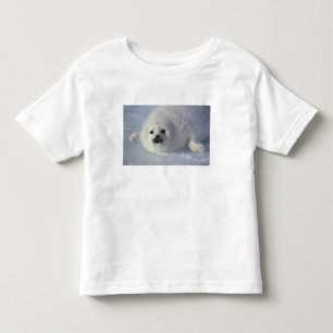 Harp seal Phoca groenlandica) A week-old harp Toddler T-Shirt